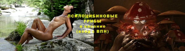 бутират Богданович