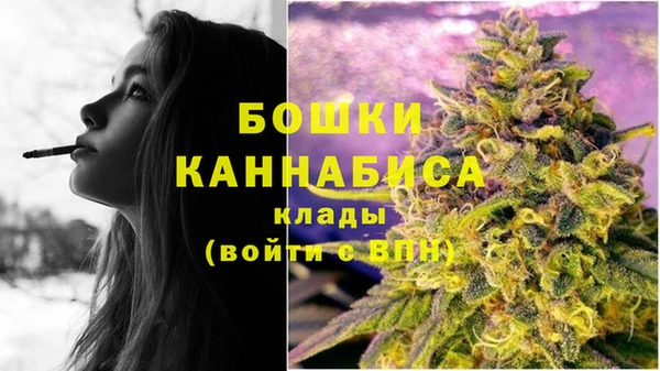 бутират Богданович