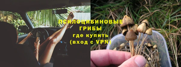 бутират Богданович