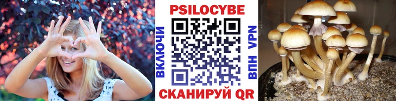 купить наркотик Рыбинск Галлюциногенные грибы ЛСД